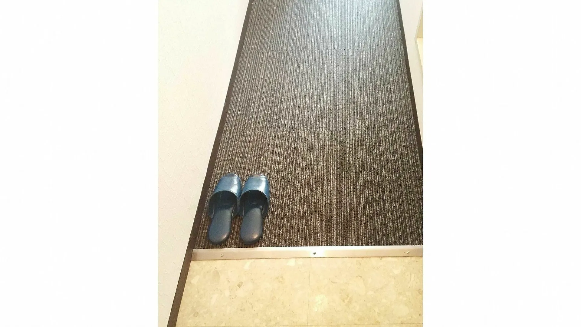 Business Hotel Nishiike Tokyo 2*,  Japan